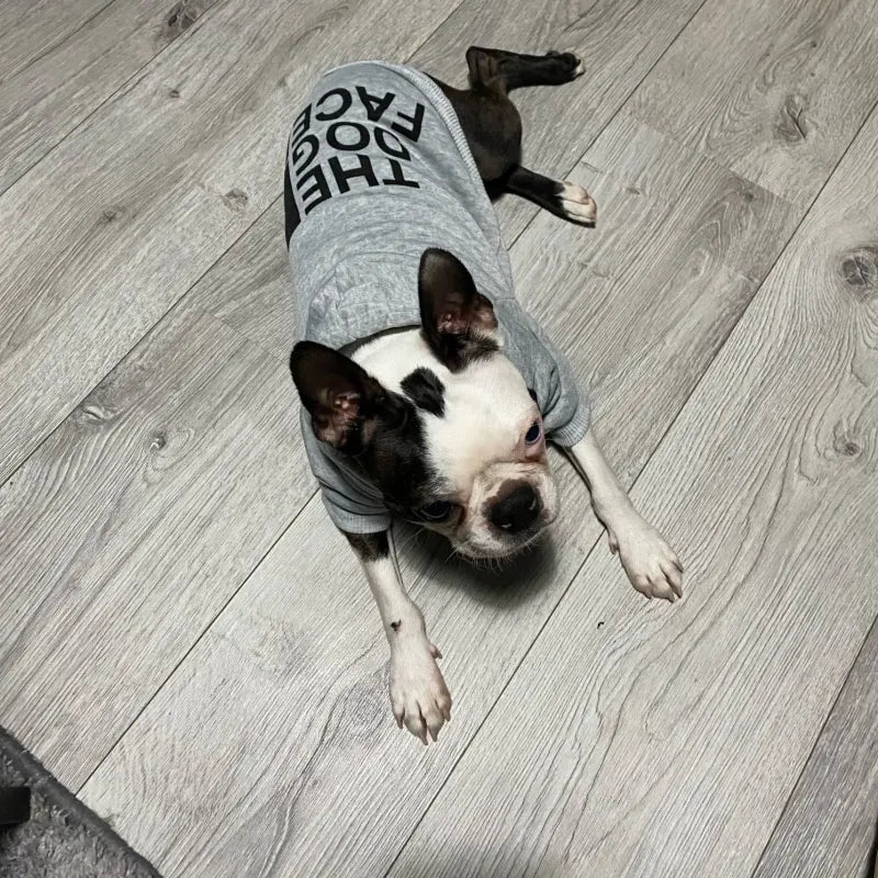 Cosy Dog Hoodie