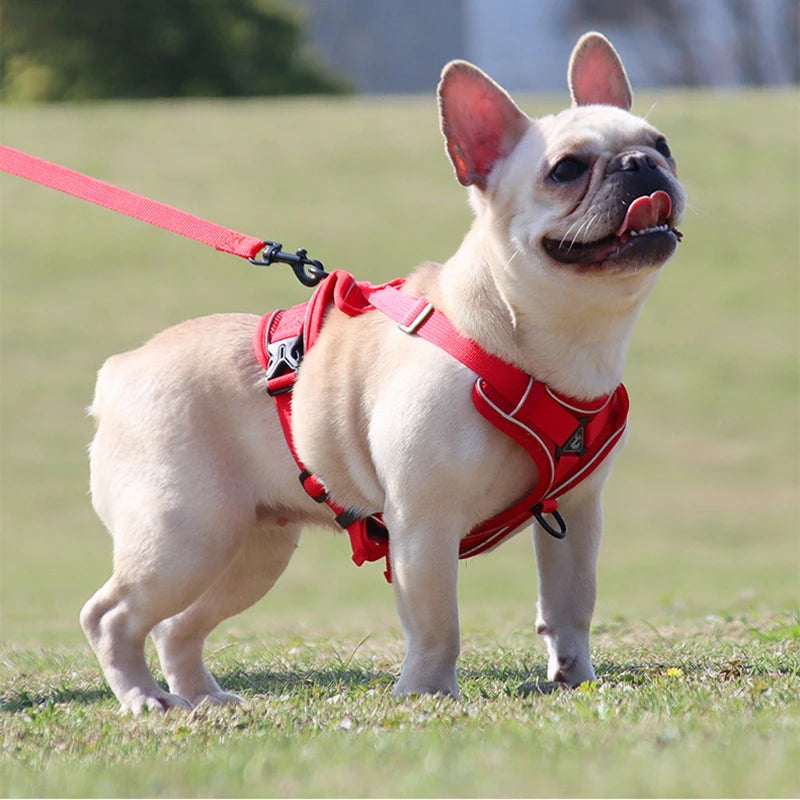 No Pull Dog Harness and Leash Set