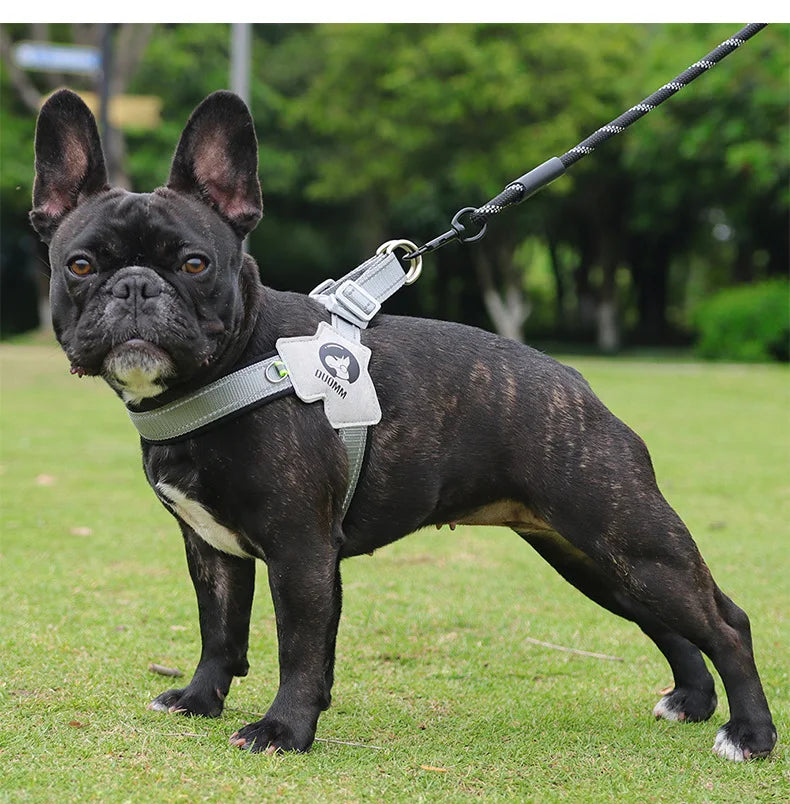 Reflective Lightweight Dog Harness