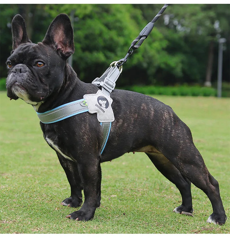 Reflective Lightweight Dog Harness