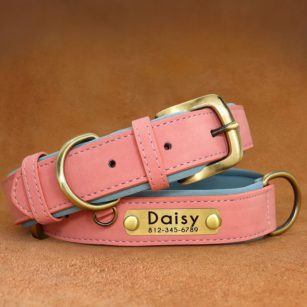 Personalised Leather Dog Collar