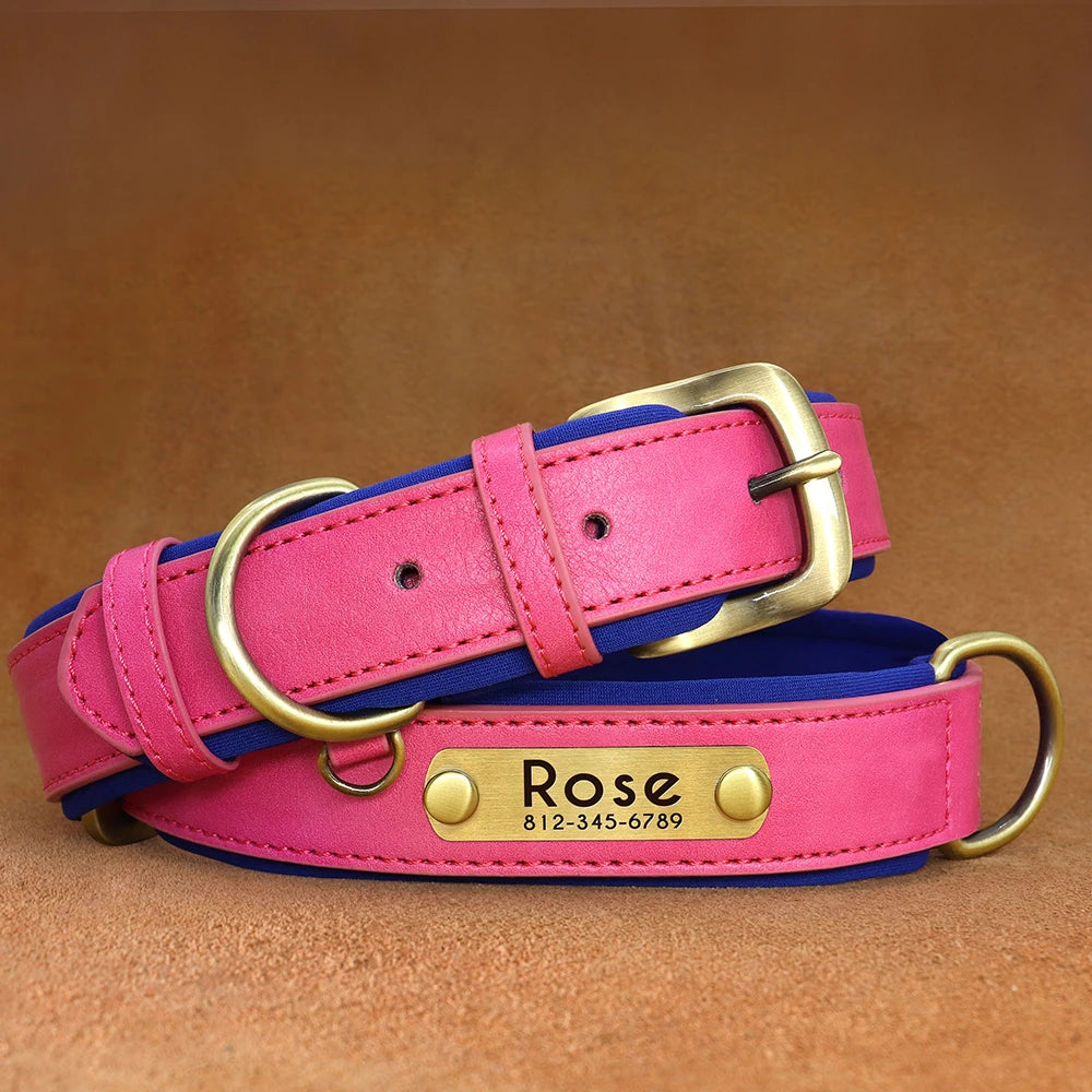 Personalised Leather Dog Collar